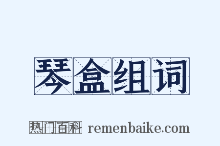 琴盒组词是什么意思的图片